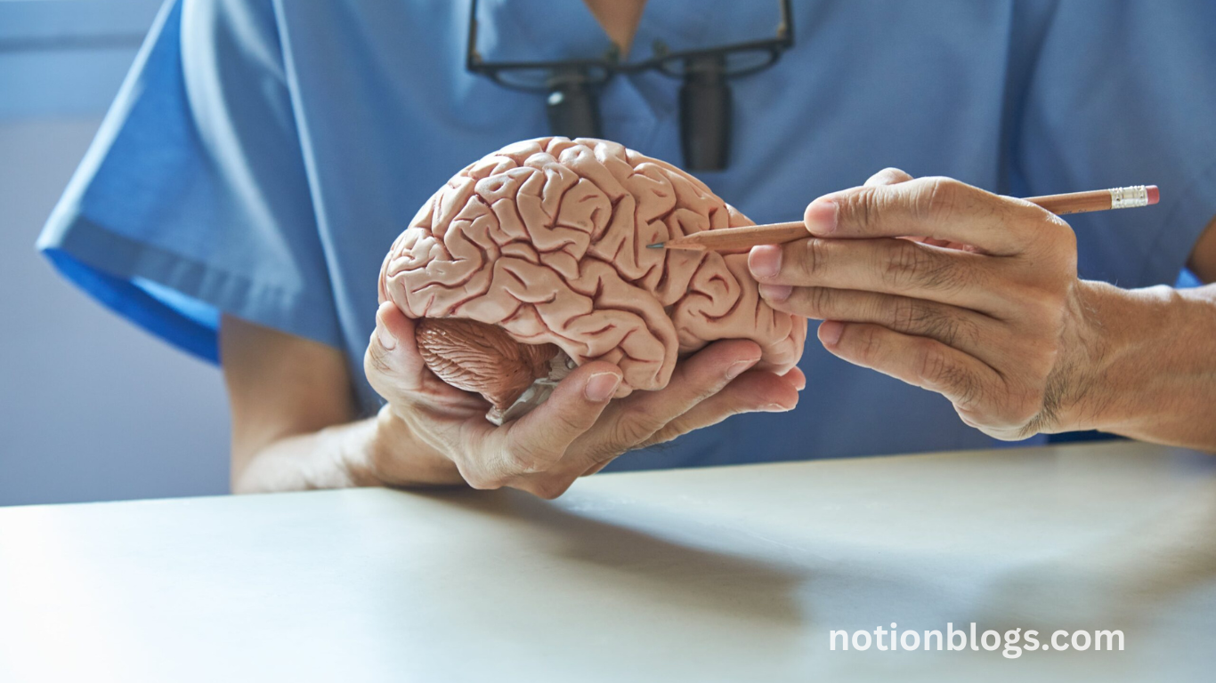 Study Ties 8 + Weekly Alcoholic Drinks to Greater Risk of Brain Damage