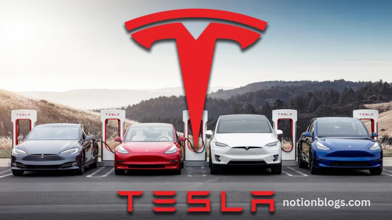 Tesla chair denies report that EV maker seeks new CEO to replace Musk