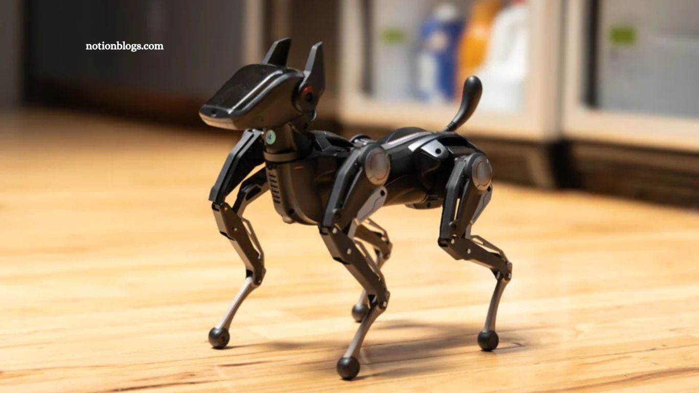 Robot Dog