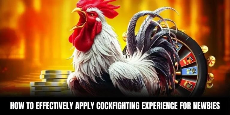 Tips for accurate online cockfighting betting at SV388