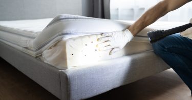 Keeping Your Property Pest-Free: How Pest
